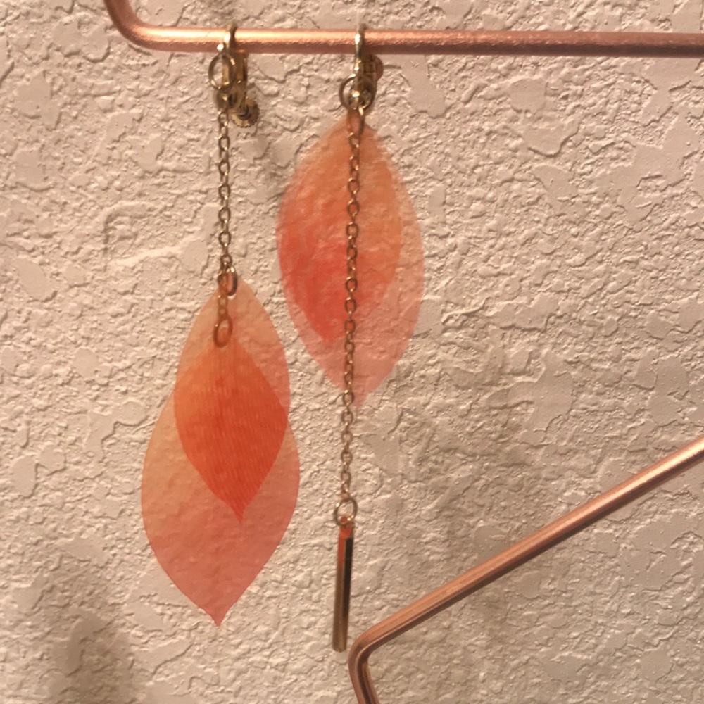 Fashion ear clippers